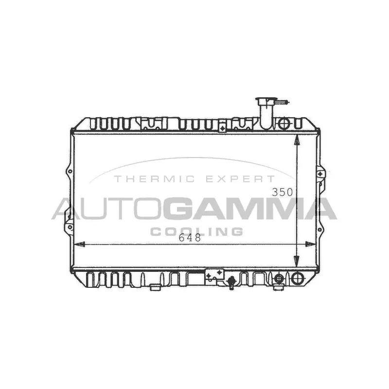 Radiateur, refroidissement du moteur AUTOGAMMA 100418