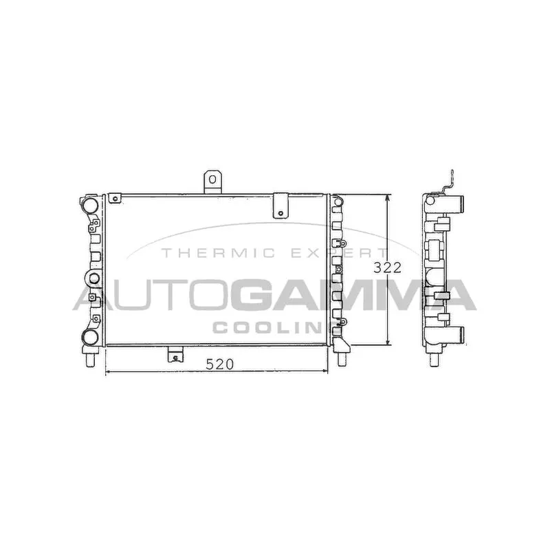 Radiateur, refroidissement du moteur AUTOGAMMA 100452