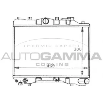 Radiateur, refroidissement du moteur AUTOGAMMA 100481