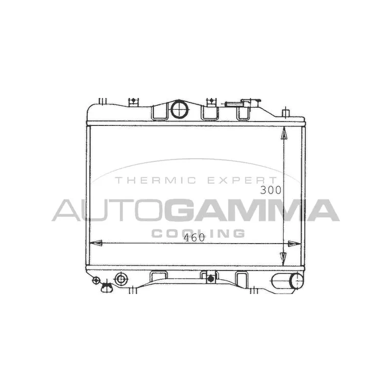 Radiateur, refroidissement du moteur AUTOGAMMA 100481