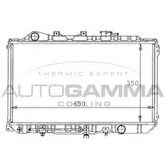 Radiateur, refroidissement du moteur AUTOGAMMA 100496