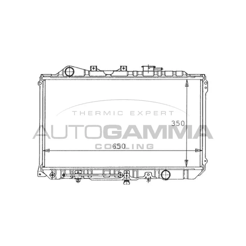 Radiateur, refroidissement du moteur AUTOGAMMA 100496
