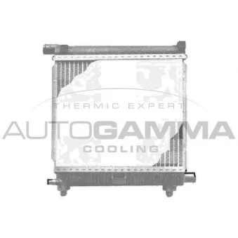 Radiateur, refroidissement du moteur AUTOGAMMA 100511