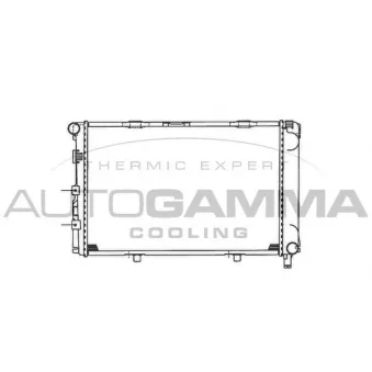 Radiateur, refroidissement du moteur AUTOGAMMA 100512