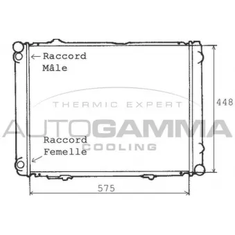 Radiateur, refroidissement du moteur AUTOGAMMA 100525