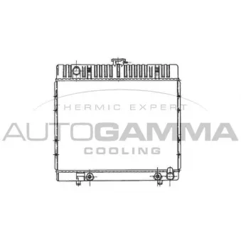Radiateur, refroidissement du moteur AUTOGAMMA 100533