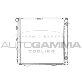 Radiateur, refroidissement du moteur AUTOGAMMA 100539