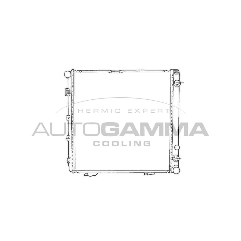 Radiateur, refroidissement du moteur AUTOGAMMA 100539
