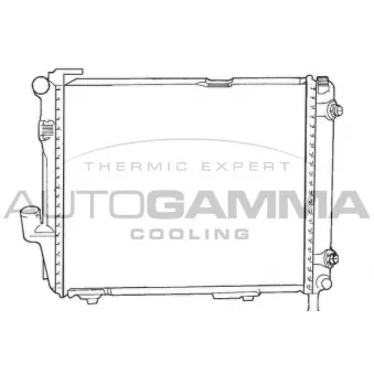 Radiateur, refroidissement du moteur AUTOGAMMA 100544