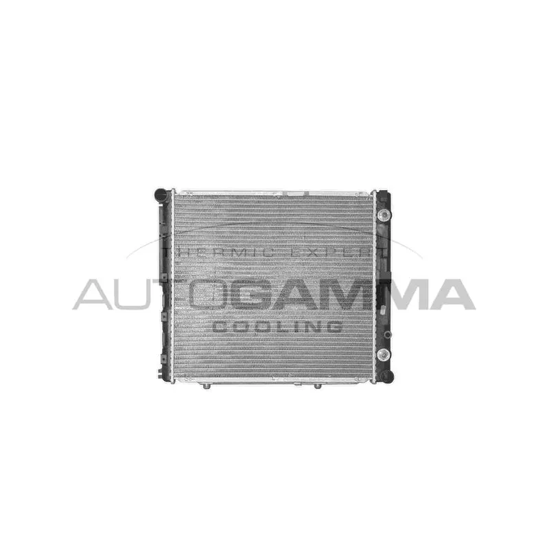 Radiateur, refroidissement du moteur AUTOGAMMA 100549