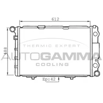 Radiateur, refroidissement du moteur AUTOGAMMA 100551