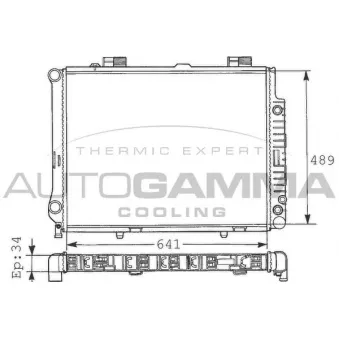 Radiateur, refroidissement du moteur AUTOGAMMA 100555