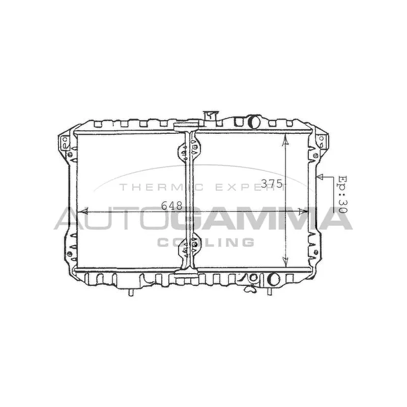 Radiateur, refroidissement du moteur AUTOGAMMA 100584