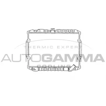 Radiateur, refroidissement du moteur AUTOGAMMA 100587