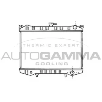 Radiateur, refroidissement du moteur AUTOGAMMA 100620