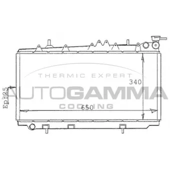 Radiateur, refroidissement du moteur AUTOGAMMA 100629