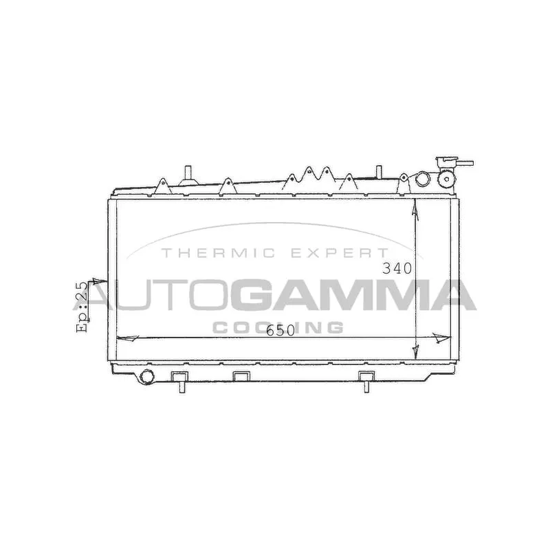 Radiateur, refroidissement du moteur AUTOGAMMA 100629