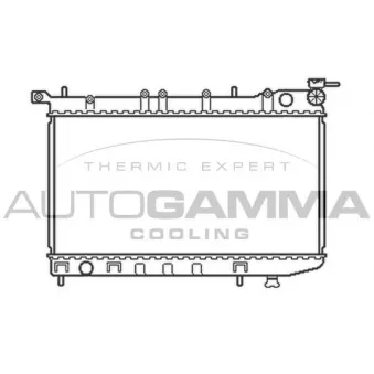 Radiateur, refroidissement du moteur AUTOGAMMA 100649
