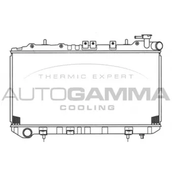Radiateur, refroidissement du moteur AUTOGAMMA 100650