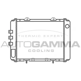 Radiateur, refroidissement du moteur AUTOGAMMA 100651
