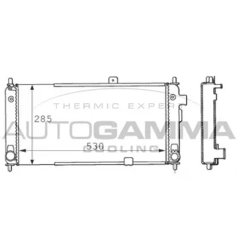 Radiateur, refroidissement du moteur AUTOGAMMA 100661