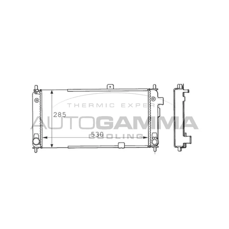 Radiateur, refroidissement du moteur AUTOGAMMA 100661