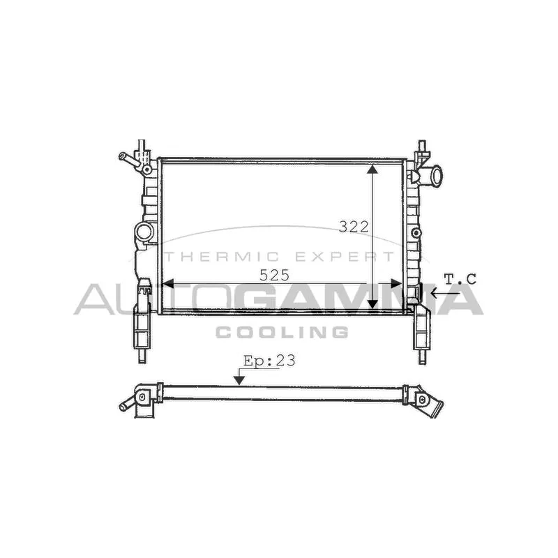 Radiateur, refroidissement du moteur AUTOGAMMA 100665