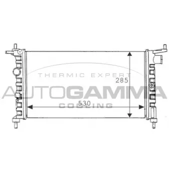 Radiateur, refroidissement du moteur AUTOGAMMA 100674