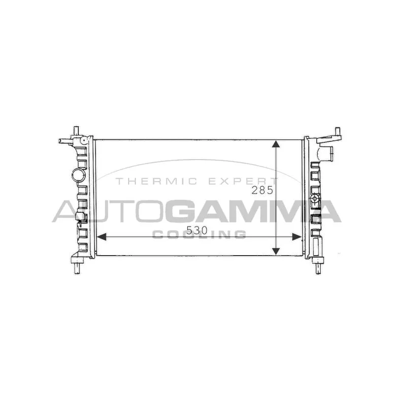 Radiateur, refroidissement du moteur AUTOGAMMA 100674