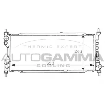 Radiateur, refroidissement du moteur AUTOGAMMA 100675