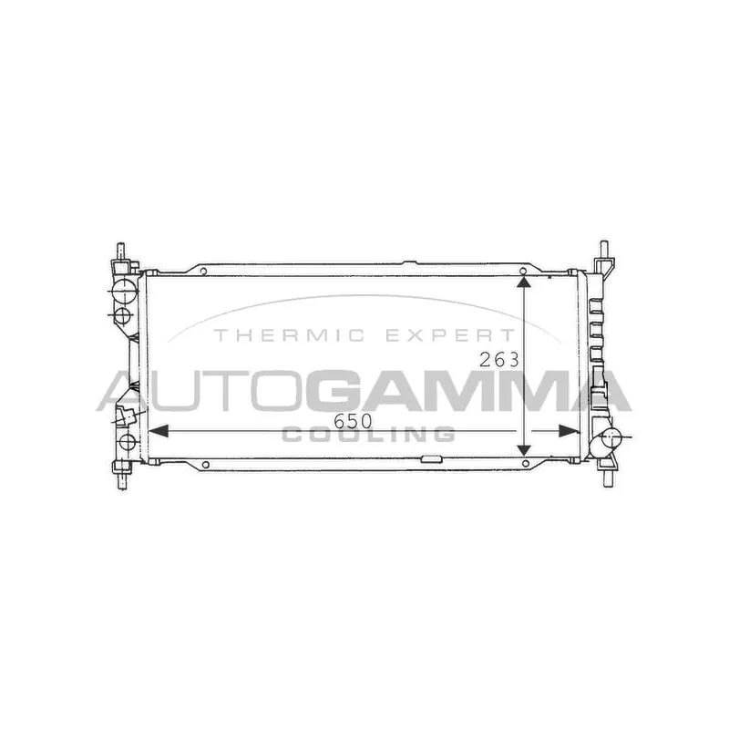 Radiateur, refroidissement du moteur AUTOGAMMA 100675