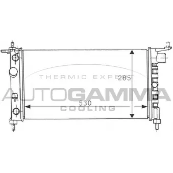Radiateur, refroidissement du moteur AUTOGAMMA 100676