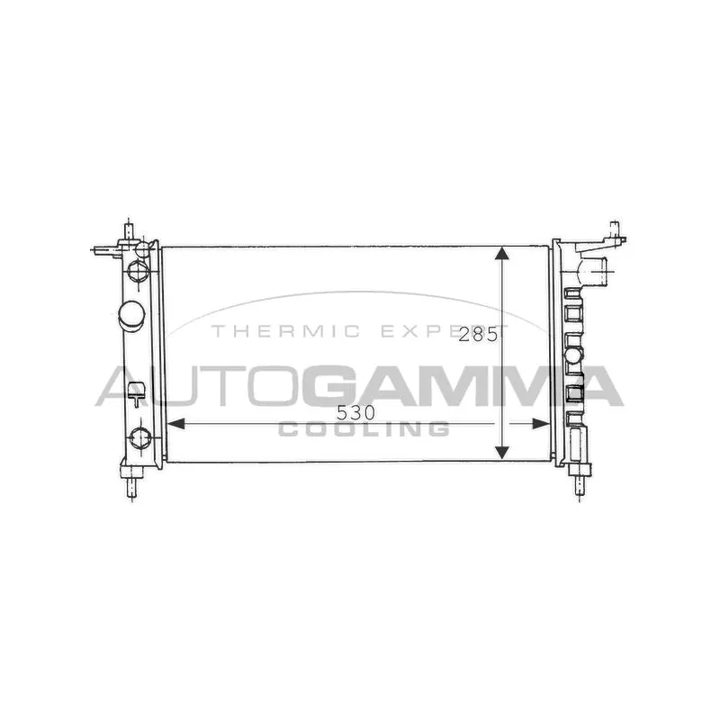 Radiateur, refroidissement du moteur AUTOGAMMA 100676