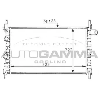 Radiateur, refroidissement du moteur AUTOGAMMA 100687