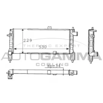 Radiateur, refroidissement du moteur AUTOGAMMA 100706