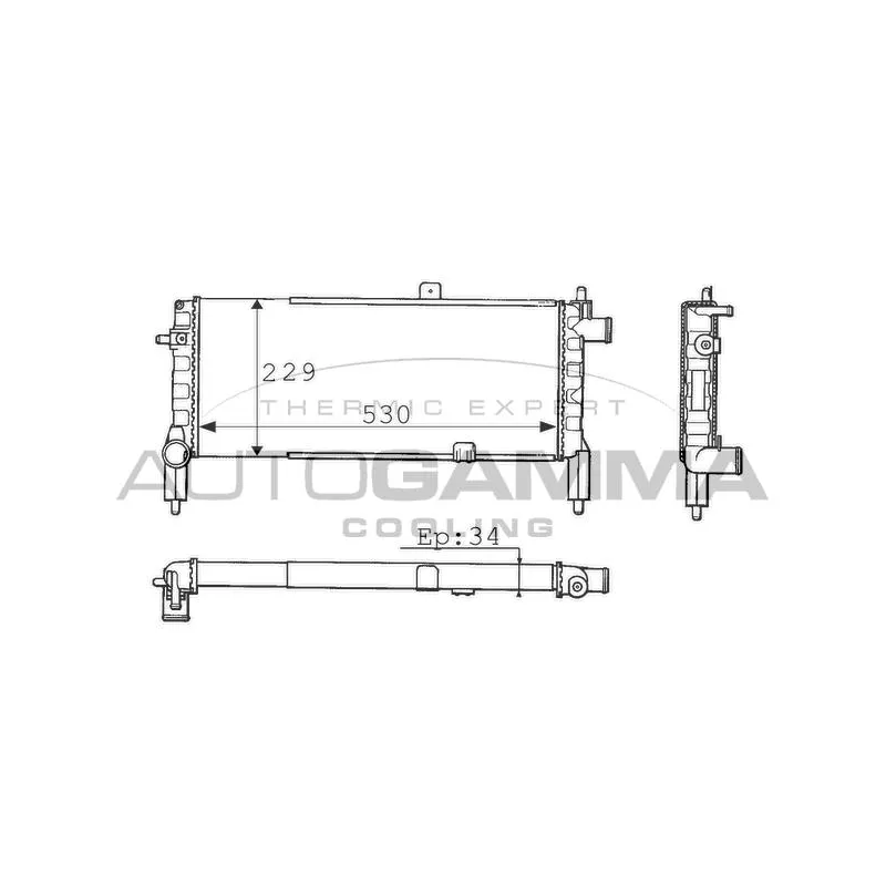 Radiateur, refroidissement du moteur AUTOGAMMA 100706