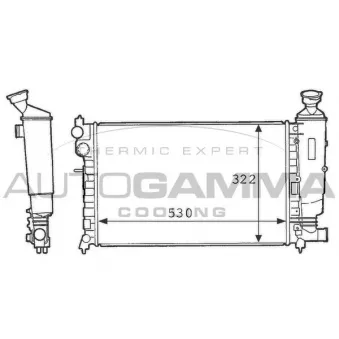Radiateur, refroidissement du moteur AUTOGAMMA 100734