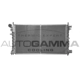 Radiateur, refroidissement du moteur AUTOGAMMA 100737
