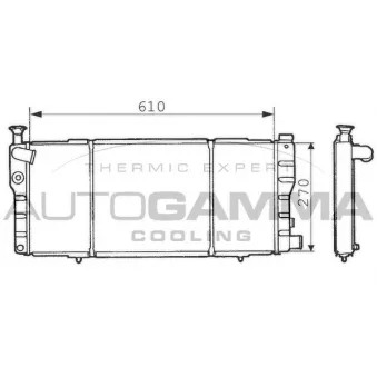 Radiateur, refroidissement du moteur AUTOGAMMA 100743