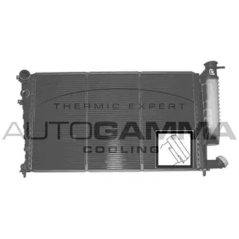 Radiateur, refroidissement du moteur AUTOGAMMA 100756