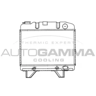 Radiateur, refroidissement du moteur AUTOGAMMA