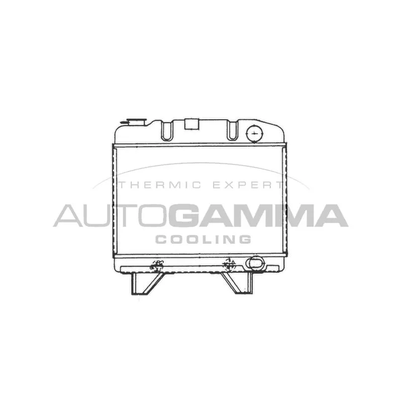 Radiateur, refroidissement du moteur AUTOGAMMA 100786