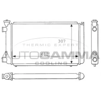 Radiateur, refroidissement du moteur AUTOGAMMA 100842