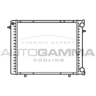 Radiateur, refroidissement du moteur AUTOGAMMA 100854
