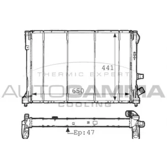Radiateur, refroidissement du moteur AUTOGAMMA 100891