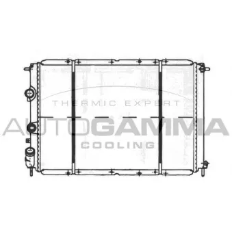 Radiateur, refroidissement du moteur AUTOGAMMA 100905