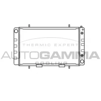 Radiateur, refroidissement du moteur AUTOGAMMA 100929