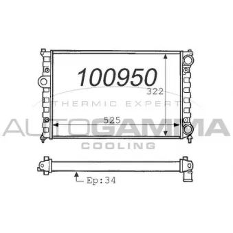 Radiateur, refroidissement du moteur AUTOGAMMA 100950