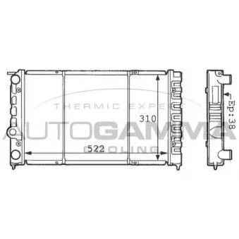 Radiateur, refroidissement du moteur AUTOGAMMA 100959