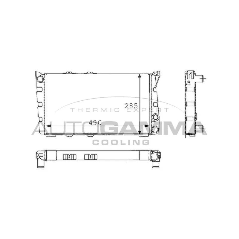 Radiateur, refroidissement du moteur AUTOGAMMA 100966